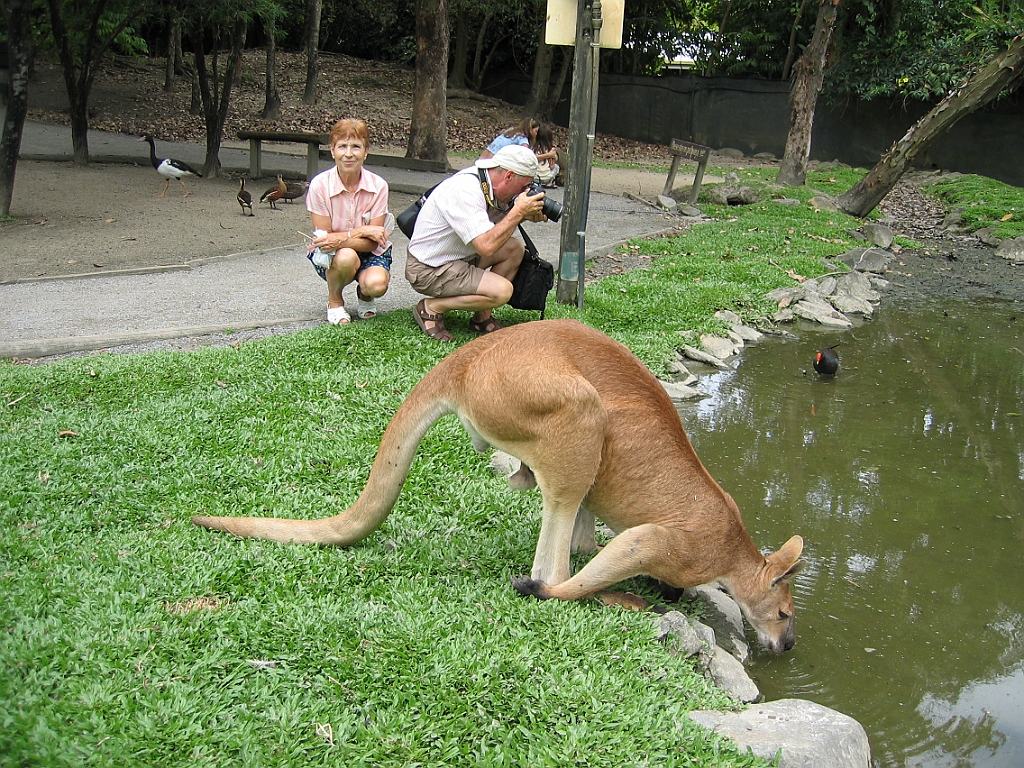 080 Port Douglas Wildlife Habitat.jpg